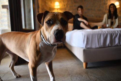 派特拉及福斯精品温泉酒店 派特拉及福斯精品温泉酒店