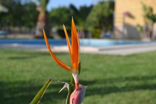 Villa Adriana B&B - image 8
