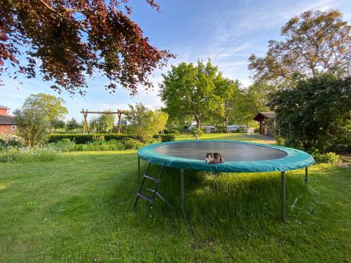 Bauerhof Kleingarn - Bauernhus 11 in Sulsdorf