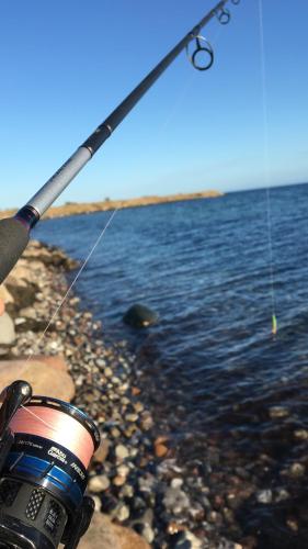 Bauerhof Kleingarn - Bauernhus 11 in Sulsdorf