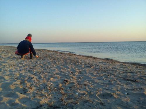 Bauerhof Kleingarn - Bauernhus 11 in Sulsdorf