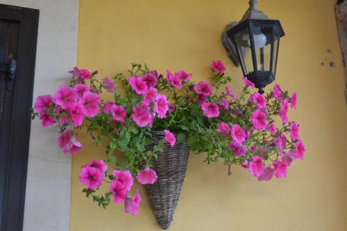 Villa Adriana B&B - image 13