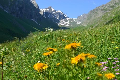 Dariani Cottage in Oni
