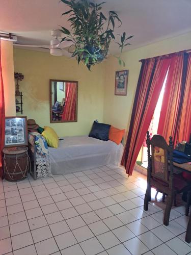 COLOCATION CITE URBAINE in Baimbridge