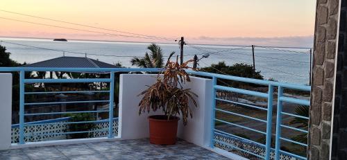 Kyo Villa in Oyster Bay