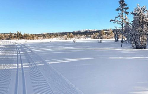 Cozy Home In Gol With Sauna Cozy Home In Gol With Sauna