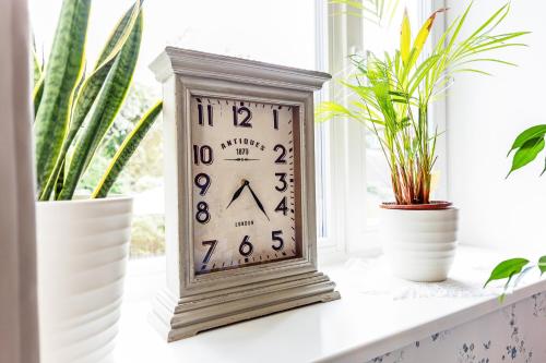 Brand new 3BR family friendly house with huge garden Brand new 3BR family friendly house with huge garden