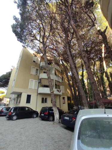One-Bedroom Apartment image 10