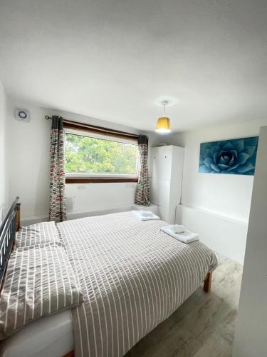 3 Bed Serviced Accommodation with Free Parking & Tram Stop, 10 minutes from Airport and Center 3 Bed Serviced Accommodation with Free Parking & Tram Stop, 10 minutes from Airport and Center