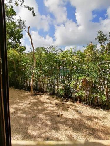 Belche 103 in Tulum, Mexico