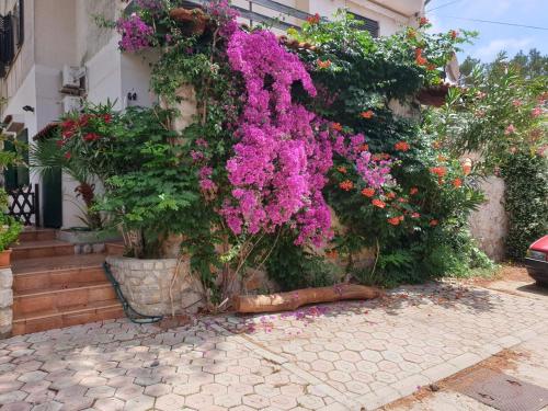 Studio apartment in Mali Losinj with terrace, air conditioning, WiFi, washing machine 4913-2, Mali Lošinj (fotografie 9)