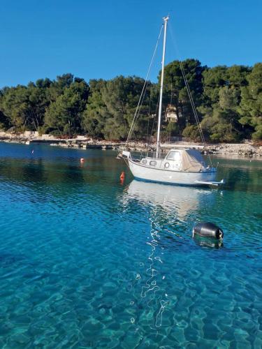 Studio apartment in Mali Losinj with terrace, air conditioning, WiFi, washing machine 4913-2, Mali Lošinj (fotografie 10)