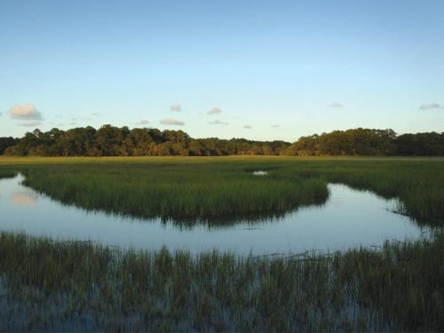 823 Ocean Cove - image 2