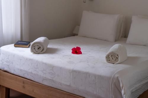 Standard  Double Room image 7