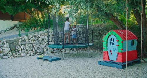 Quinta do Benjamim - Tejo - image 8