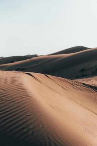 Moon Light Luxury Camp in A'Sharqiyah Sands (Wahiba)