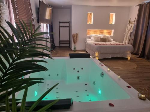 Evasion Romantique loft avec jacuzzi jardin prive pres de Paris