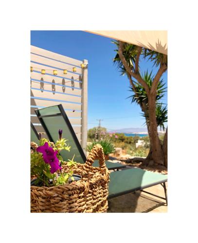 ทัศนียภาพ, Koukounari Cottage Apartment Paros in โคลิมปิเทรส