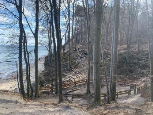 Przy nadmorskim lasku