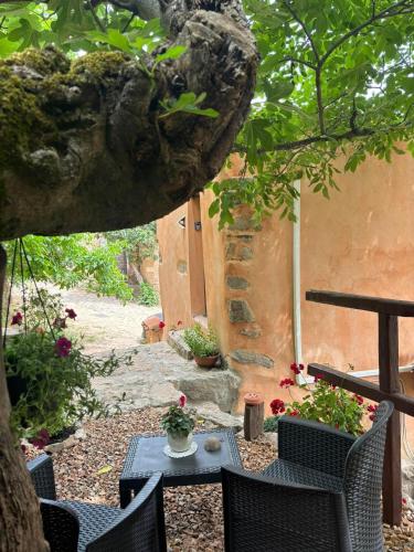 Osini Ecciu Home in Osini