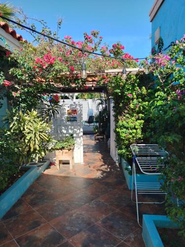 tuin, Sandcastle Beach Apartments in Noord