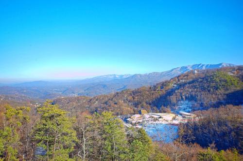 Pinnacle Vista Holiday home - image 13
