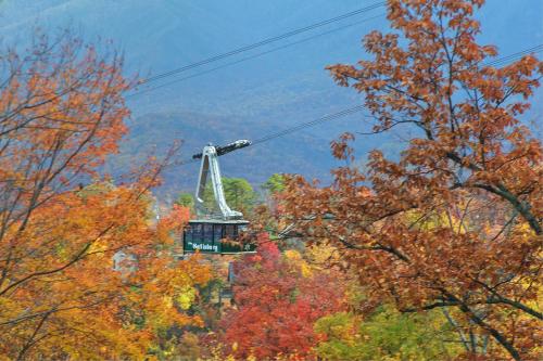 Ridgetop Retreat (#50) Holiday home - image 11