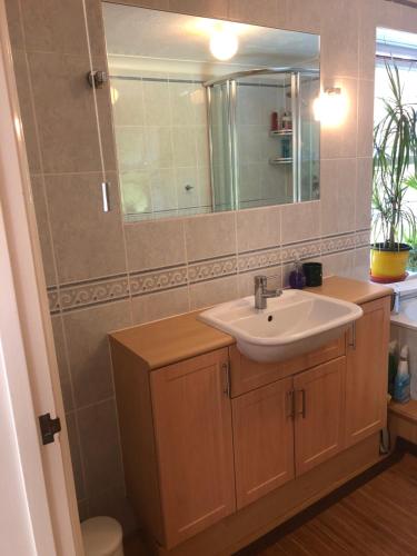 Double Room with Garden View image 3