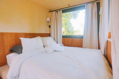 Hacienda Florecer - Shipping containers with private pool