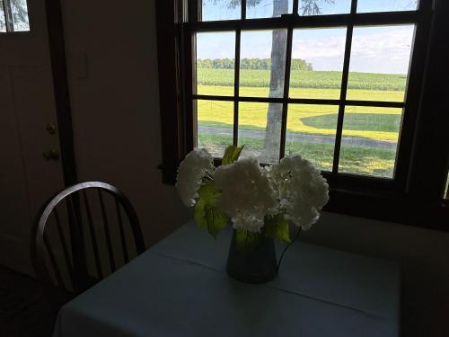 Kimbers Farm in Pattersonville, USA