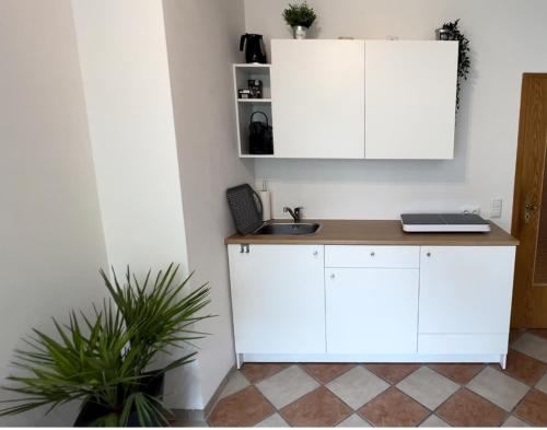 Palmen Apartment direkt in Bad Aibling in Bad Aibling