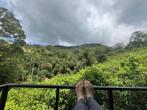 Cannelle Hill Cabanas in Deniyaya