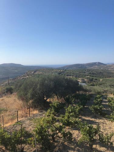 Maravel house in Episkopi