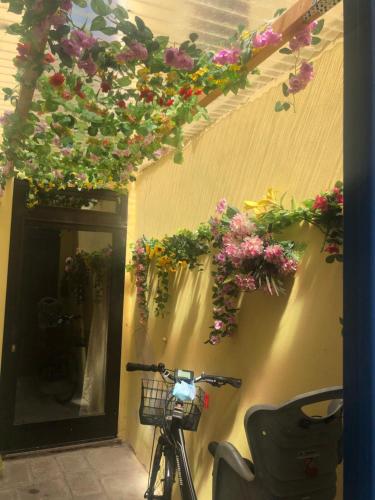 Ca' Memi - Relaxing Stay in Chioggia, Chioggia (Foto 10)
