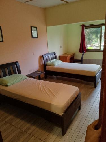 2 twin beds
