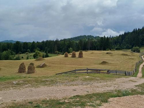 Pensiunea Poarta Lui Ionele - image 11