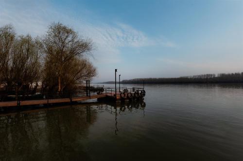 กิจกรรม, Casa Mavis in มาห์มูเดีย