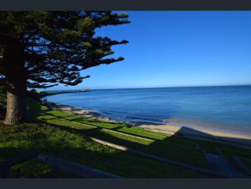 . Beach Lodge on Seaside-Easter Sale is now on in Esplanade and Buller St Kingscote