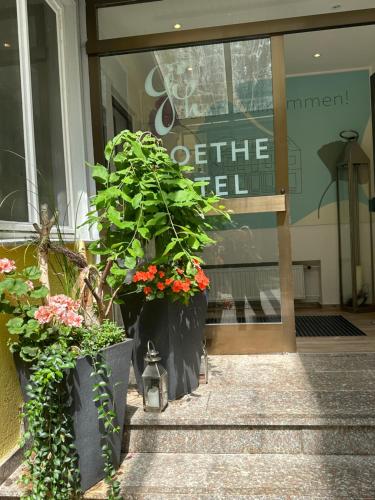 Hotel Goethe-Haus - image 6