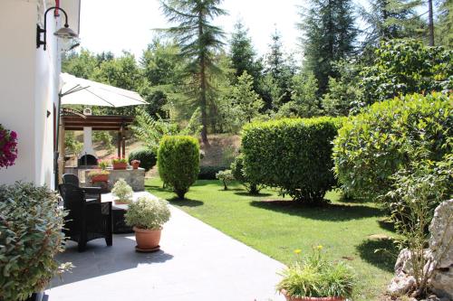 Dārzs, Le Conifere in Pignola