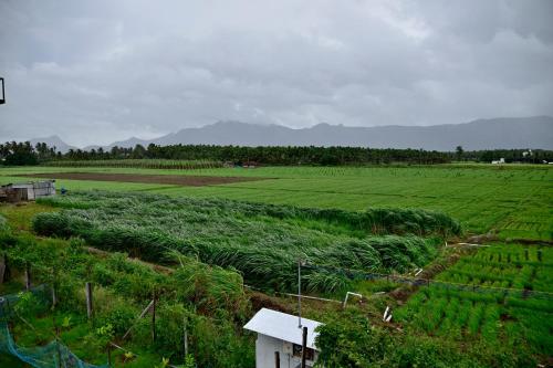 منظر, Lakshmi illam Near Isha Yoga Adiyogi in Perumal Kovil Pathy