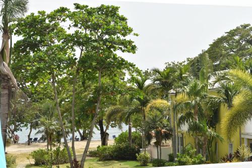 Irie Vibes by the beach Irie Vibes by the beach