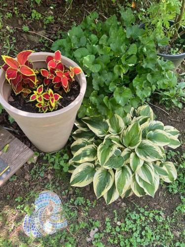 Retreat, Restore, Spa and Gardens Retreat, Restore, Spa and Gardens