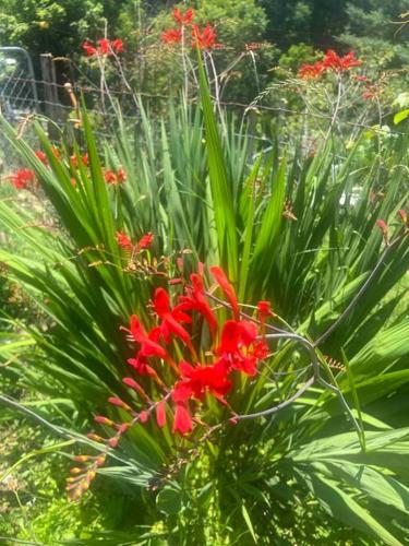 Retreat, Restore, Spa and Gardens Retreat, Restore, Spa and Gardens