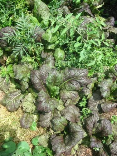 Retreat, Restore, Spa and Gardens Retreat, Restore, Spa and Gardens