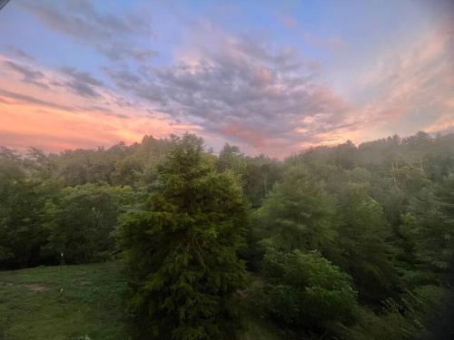 Retreat, Restore, Spa and Gardens Retreat, Restore, Spa and Gardens