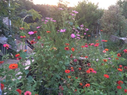 Retreat, Restore, Spa and Gardens Retreat, Restore, Spa and Gardens