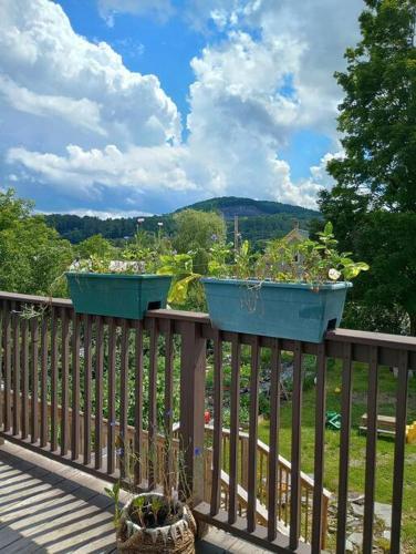 cozy apartment, close to US-91, walkable to town in 費爾利 (VT)