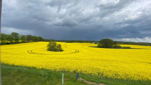 Kilátás, Kranichblick in Alt Schwerin