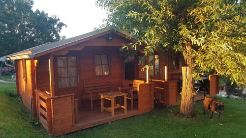 kemp -chatky-Doctor in คุคส์